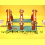 Odłącznik OWIII 10/6-2